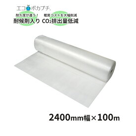 エコポカプチ d37L耐候性 (農業用保温内張り材) 2400mm幅×100m巻 1本