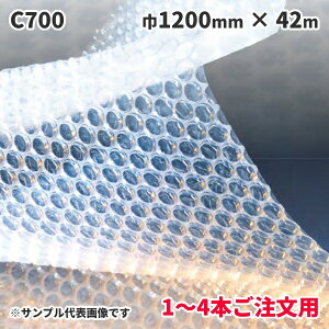 s@llE1`4{ptɏՍ 䉻wH GA[Lbv C700 1200mm×42m 2wi@1{(MS)iF~ipbN #402Sj