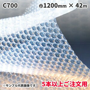 s@llE5{ȏゲptɏՍ 䉻wH GA[Lbv C700 1200mm×42m 2wi@1{(MS)iF~ipbN #402Sj