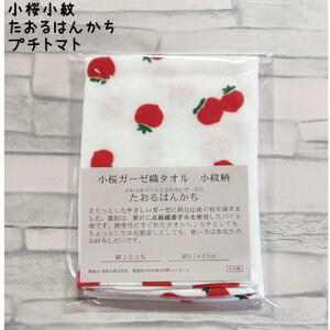  ͂񂩂 (v`g}g) 31×31cm 1^{ Y  100% v[g Mtg 蕨 K[[ a }XN ʂ 킢   