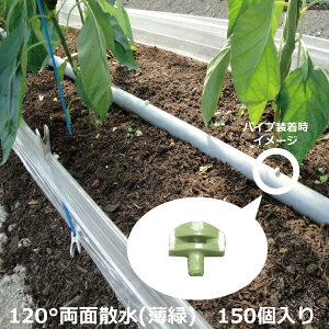 yܔzZLXC mY 120°-(1) ʎU ΐF 150 _ mY  nEX  앨 _ ƒ؉