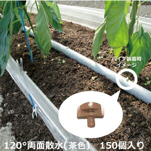 yܔzZLXC mY 120°-(2) ʎU F 150 _ mY  nEX  앨 _ ƒ؉