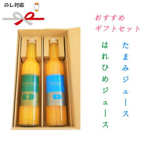 ܂݁͂Ђ2{Zbg 500mlr×e1{ / W[X ܂ ͂Ђ ݂ k Xg[gW[X ʏ`100% (IWG)