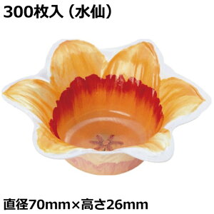 Ad~Y yؗe() FZ-1(300)yٓ/V/FZvJbv/ԕz(Y002176)