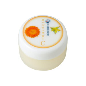 yD]ɕt2025N11{ȍ~oׂ܂IzXpWbN@r[C (j10g i`RX ym[}pz