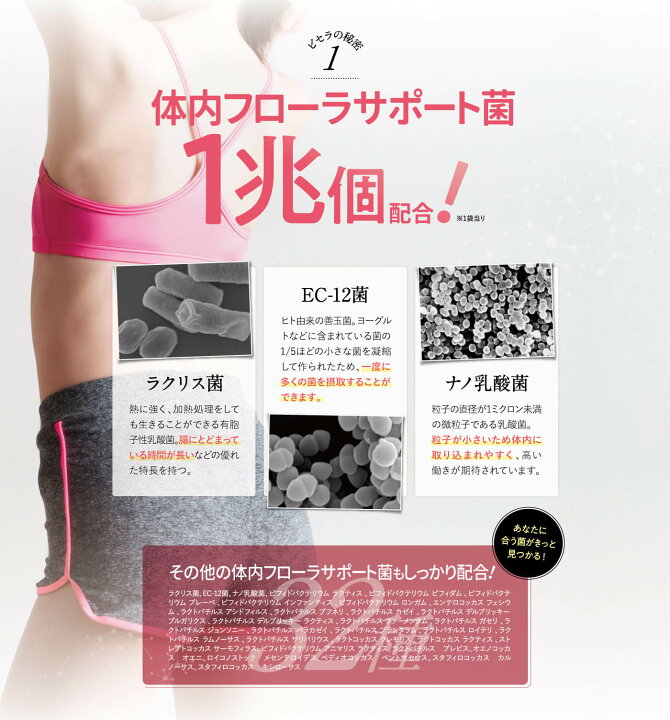 楽天市場】本日8%OFF☆【他ストアはすべて不正転売】 ビセラ 2袋セット  