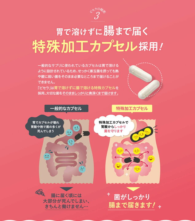 楽天市場】本日8%OFF☆【他ストアはすべて不正転売】 ビセラ 6袋セット  