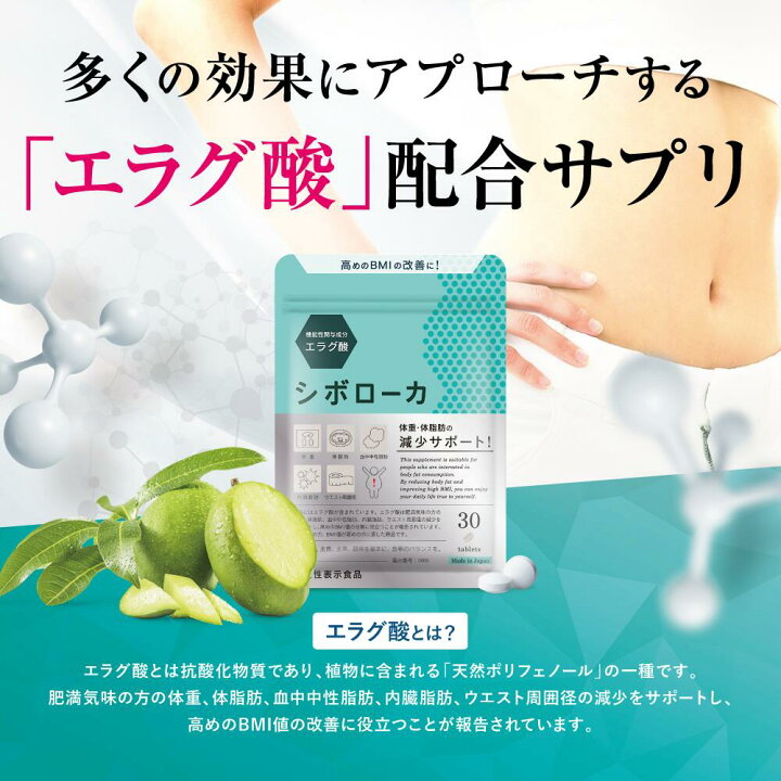 楽天市場】本日15%OFF【不正転売品にご注意を】15%OFFクーポン☆2袋 