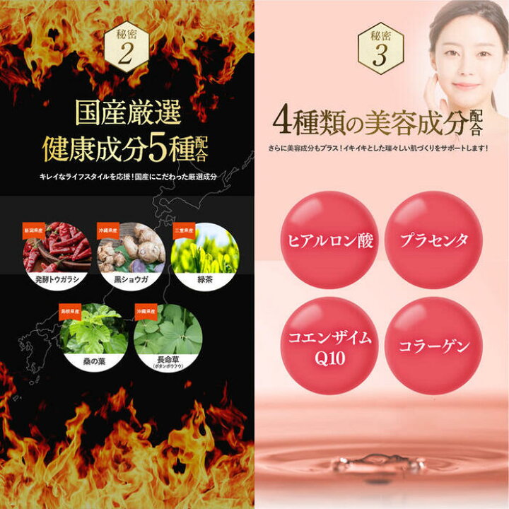楽天市場】【公式】2袋セット 肥後生まれのすらっとすっぽん 60粒×2袋 