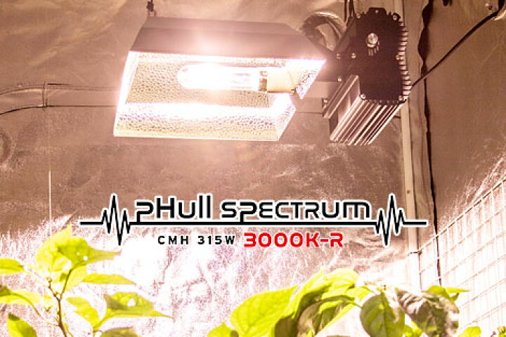 楽天市場】植物育成ライト led pHull Spectrum CMH Fixture 315W+4200K 