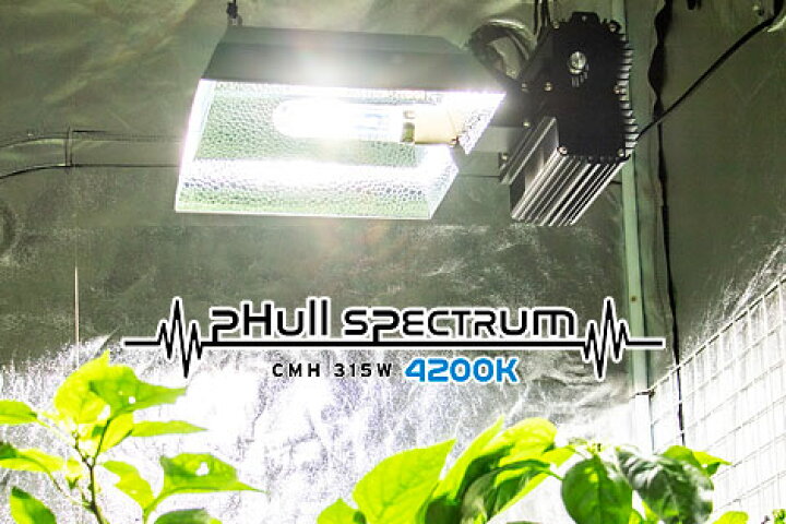 楽天市場】植物育成ライト led pHull Spectrum CMH Fixture 315W+4200K 