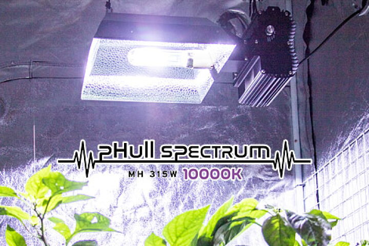 楽天市場】植物育成ライト led pHull Spectrum CMH Fixture 315W+4200K 