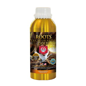 A͍ A ͍ Roots Excelurator Gold 1L y/RRp ō̔i