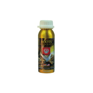 Roots Excelurator Gold 250ml y/RRp ō̔i