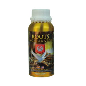 Roots Excelurator Gold 500ml y/RRp ō̔i