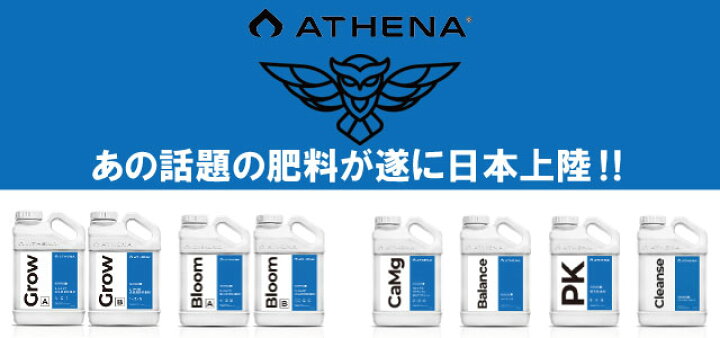 楽天市場】ATHENA Bloom A/B 3.78L（アテナブルーム）開花期用肥料 