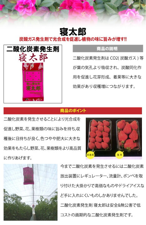 楽天市場 炭酸ガス発生剤 寝太郎 1袋 自然緑商事