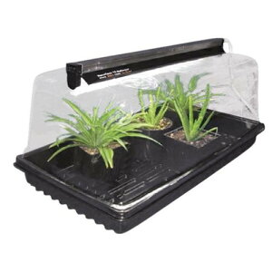 A琬CgiujT5HOƈcNanoDomẽZbg Sunblaster Mini GreenHouseKit Grow Fluorescent Lighting&Dome