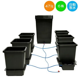 土壌灌漑システム AutoPot 6Pot System 6株用 自動散水キット　水耕栽培システムとしても使用可能　代引き不可
