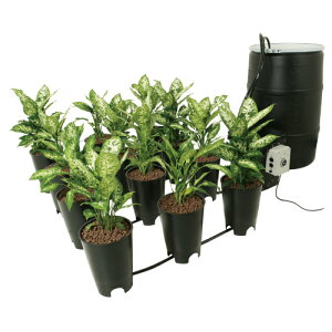 k͔|Lbg Active Aqua Grow Flow 8L|bg 12TCg-VXe 
