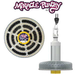 A琬ledCg MiraclePunchy ~Np`[ Ver.3 A琬Cg led A琬LEDCg 