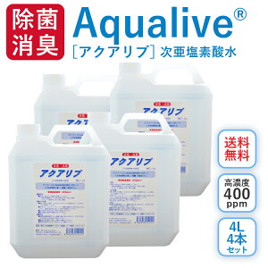 ANAu (400ppm) t 4bg×4{ Zbg  rꖳ L ^ LJr ԕ΍  V^RiECX ۃXv[ f_  ۃXv[  ECX ΍