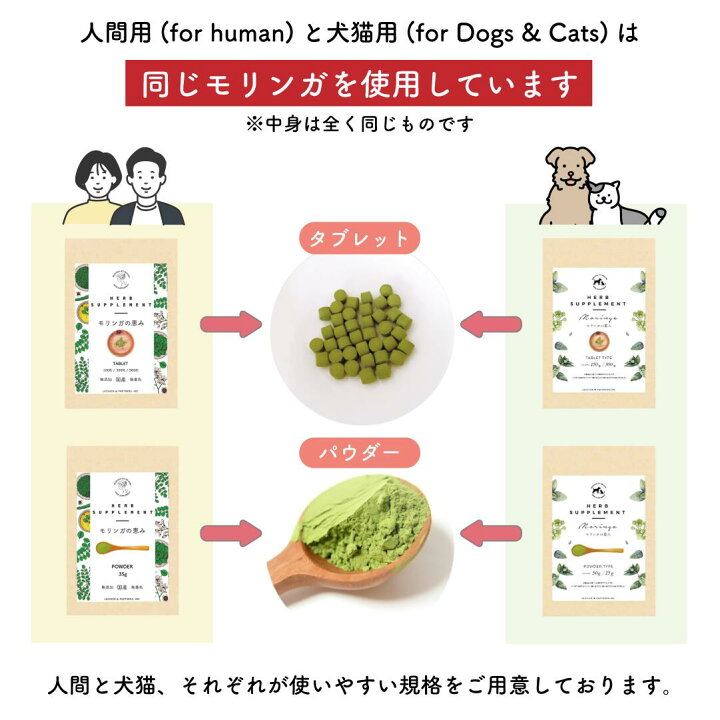 楽天市場】メール便送料無料【 モリンガの恵み/犬猫用 パウダー25g 