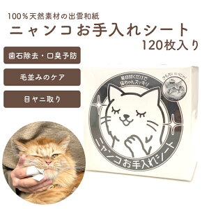 jRV[g 120 100VRf o_a L Ώ | ѕ݃PA ڃj ݂ uV L f^PA wz L d _f LQz 