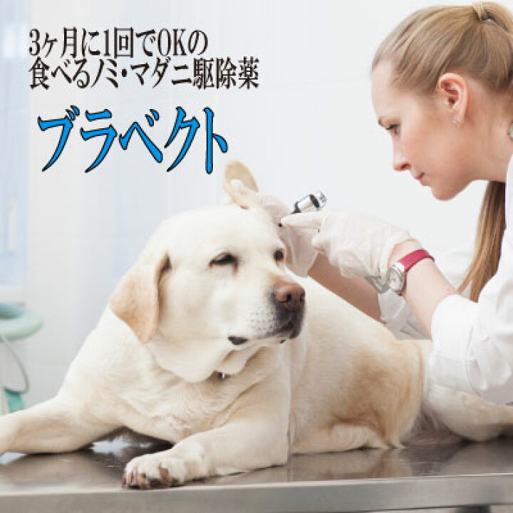 楽天市場 3ヶ月持続型 犬用ノミ マダニ駆除薬 ブラベクト 体重 40kg用 4錠 12ヵ月分 3ヶ月に一回食べると効果が3ヶ月続く 嗜好性の高いチュアブルタイプ のノミ マダニ駆除薬 往診対応地域は 栃木県 足利市 大阪府 大阪市 京都府 京都市 兵庫県 神戸市