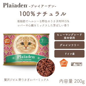 vCA[f[Lp] 100Wild ґWrG 삤 o[~bNX 200g Lbgt[h EGbg OCt[ Y ʋl ⋋ q[}O[h hCcY h{H WrG m