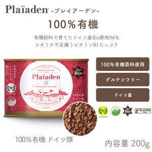 vCA[f[p] 100L@ hCc 200g I[KjbN hbOt[h EGbg OCt[ Y ʋl ⋋ q[}O[h hCcY h{H mxveC HA