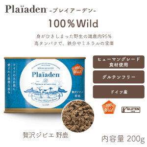 vCA[f[p] 100Wild ґWrG 쎭 200g hbOt[h EGbg OCt[ Y ʋl ⋋ q[}O[h hCcY h{H WrG mxveC HA