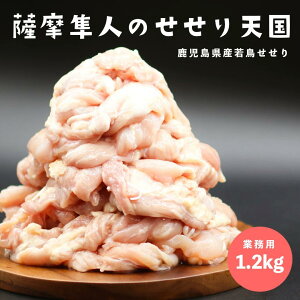 ylCIzFl̂V 1.2KG Y Y ᒹ  { Ă 낵|| MqӞ O Ð|񂩂 ÐhĂ   ύ ܂ ϕ o[xL[ 