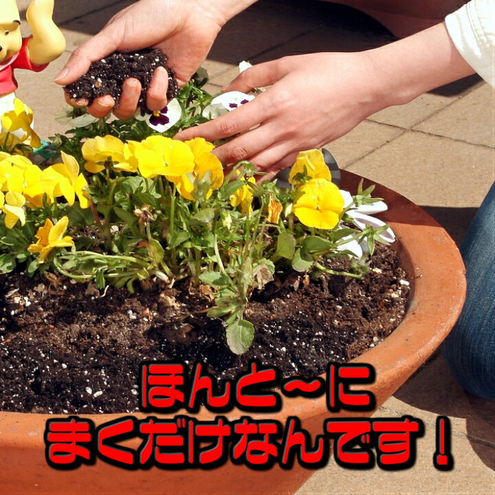 そのまま使える 花壇の土 l 肥料配合無し 草花 有機 By 14 花 土 培養土 元肥なし 用土 家庭菜園 花壇