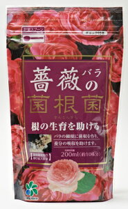 KN̋ۍ200mloEyǁyRpȊwz