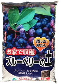 楽天市場 ブルーベリー 土 ピートモスの通販