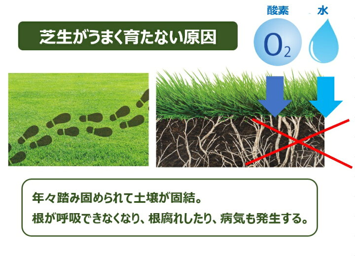 楽天市場 芝生 踏み固まらない 芝の床土 16l 2袋セット 芝生 芝 床土 目土 水はけ改善 自然応用科学 楽天市場店