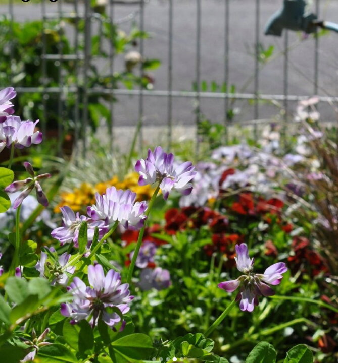 楽天市場 そのまま使える 花壇の土 l By 14 花壇 家庭菜園 花 草花 用土 土 培養土 有機 肥料配合無し 元肥なし 自然応用科学 楽天市場店