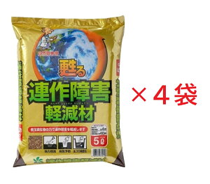 AQy5L×4ܓyǁyRpȊwz