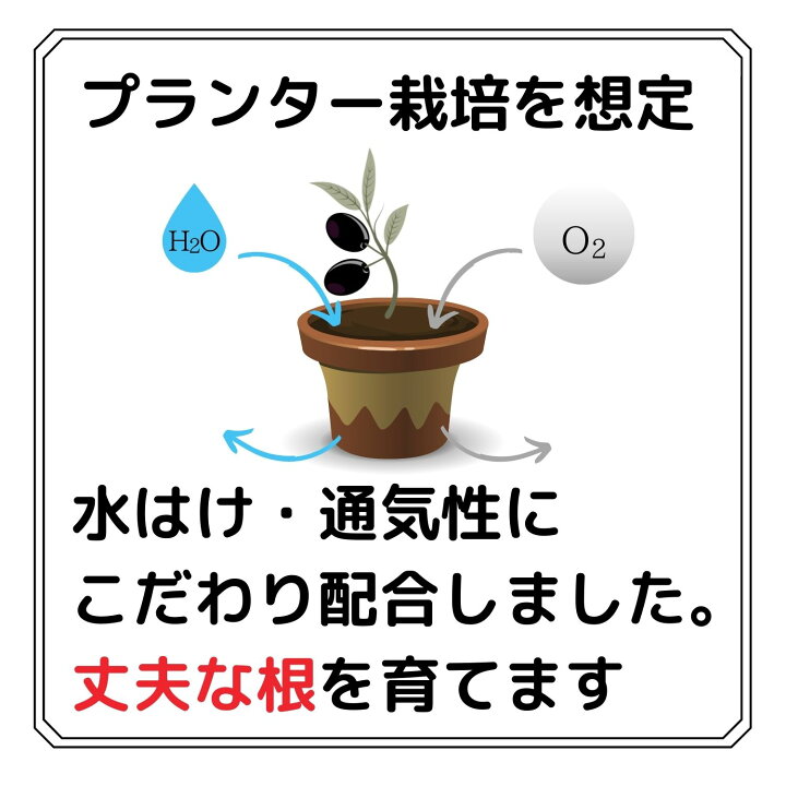 楽天市場 もっとこだわったオリーブの土 12l By 12 オリーブ 国産原料 プランター栽培用 通気性 排水性 抜群 12号鉢 肥料配合無し 自然応用科学 楽天市場店