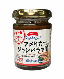 楽天市場 炊飯器 チキンライス レシピの通販