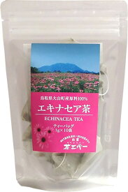 楽天市場 エキナセア プルプレアの通販