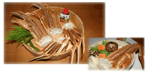  ĂKjEɂZbgMIIԉlAʂƖAIWiɍŽւBRAZ@킢ɂ̏ĂKjEɂZbg LLLTCY 8i4Cjɂ