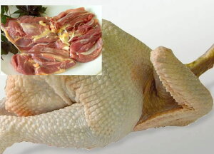 {̃_VII Vn{EV剤 X@1HZbg@(1.5kgj㏈AYn̑Nx { Y n{  痿