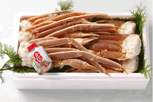  ĂKjEɂZbgMIIԉlAʂƖAIWiɍŽւBRAZ@킢ɂ̏ĂKjEɂZbg LLLTCY 6i3Cjɂ