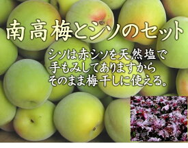 奈良県 西吉野の減農薬・有機肥料・堆肥栽培 南高梅 と 塩もみ赤紫蘇セット（南高梅 約5kg＋赤シソ 500g）【発送時期：6月中旬頃〜6月下旬頃】※塩もみ赤紫蘇は農薬不使用