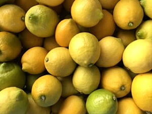 L@JAS͔| Y ˓cA 10kgi100Ojw_ w엿  E h bNXؕsgp c   L yz10{`12