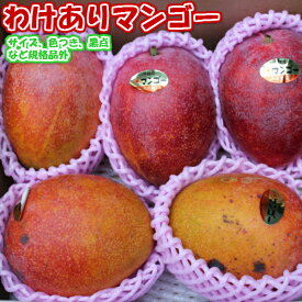 【ご予約受付中】沖縄産 わけあり マンゴー 約1.5kg※産地直送です。アップルマンゴー【ご贈答品には不向きです】【発送期間 7月上旬〜8月下旬頃】