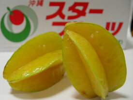 楽天市場 スターフルーツ その他 フルーツ 果物 食品の通販