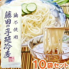 藤田の手延冷麦（200g）【10袋セット】【藤田製麺】